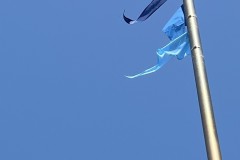 Pascale-Bleu-1