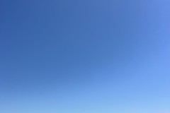 Pascale-Bleu-3
