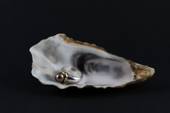 Vallee-Christophe-Nature-morte-huitre-perle-3