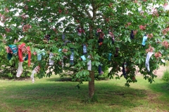 CV-chaussettes-Arbre-3