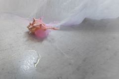 Augereau-Elisa-glace-en-voie-de-disparition-1