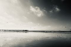 ALLETRU-Pascale-1