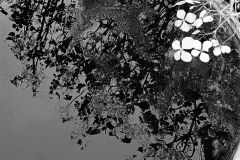 ALLETRU-Pascale-2