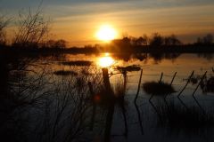 FAVREAU-Thierry-1