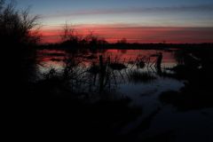 FAVREAU-Thierry-3