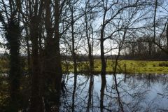 GOURICHON-Michel-2