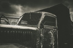 Pascale-absence-3