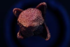 Fabien-5