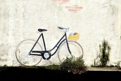 Jessica-Velo-1