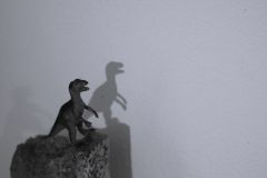 Michel_vélo....-ciraptor