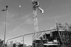 Michel-Les-grues-sont-de-retour