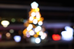 Christophe-Sapin-pose-longue-1