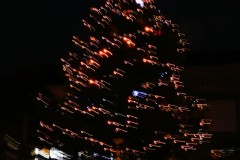 Elisa-sapin-pose-en-attendant-les-cadeaux