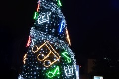 Karine-Mon-beau-sapin-de-Challans