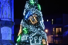 Karine-Mon-beau-sapin