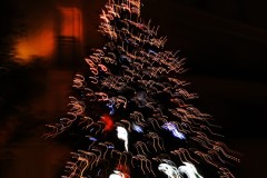 elisa-sapin-pose-je-brille-de-tous-mes-feux