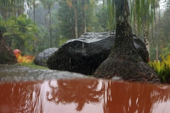 Christophe-Sous-la-pluie-2