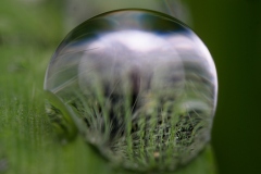 Fabien-Sous-la-pluie-Une-perle