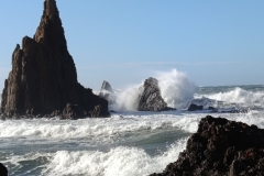 Michel-Sous-la-pluie-Pluie-d_écume-2