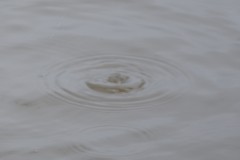 Netanya-Sous-la-pluie-1