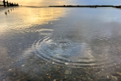 Pascale-Sous-la-pluie-1