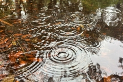 Pascale-Sous-la-pluie-2