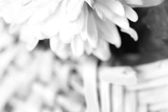 Elisa-Un-panier-pour-mes-fleurs