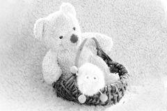 Karine-Dans-mon-beau-panier-1