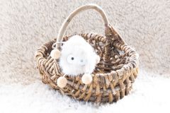 Karine-Dans-mon-beau-panier-2
