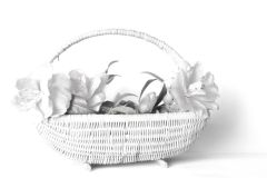Netanya-Panier-1
