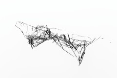 Fabien-Etier-7
