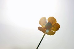 Christophe-Printemps-1