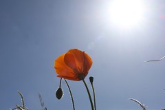 Christophe-Printemps-2