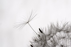 Fabien-Printemps4