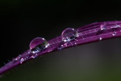 Fabien-Printemps8