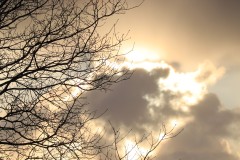 Thierry-Printemps-1