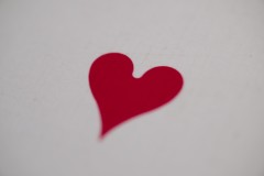 Fabien-Coeur-7