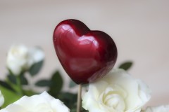 Jean-Luc-Coeur-Flou-01