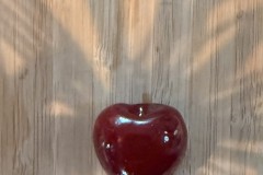 Pascale-Coeur-2