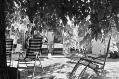 Bernadette-Chaleur-A-l_abri-de-l_arbre